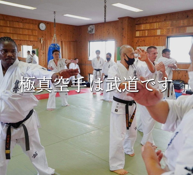 極真空手は武道です